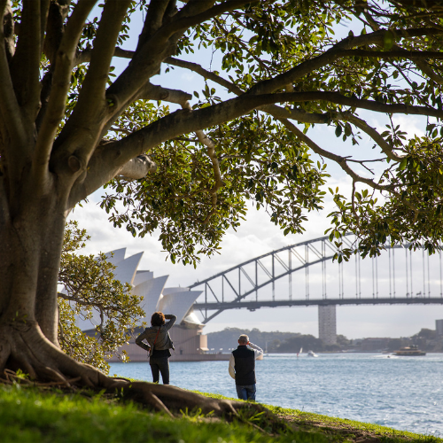 <strong>Royal Botanic Garden</strong>