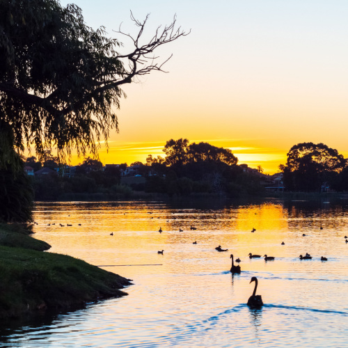 <strong>Lake Monger</strong>