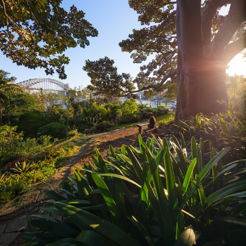 <strong>Wendy Whiteley's Secret Garden</strong>