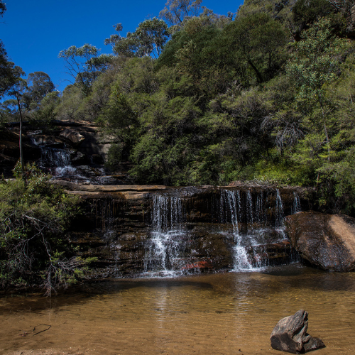 <strong>Wentworth Falls</strong>
