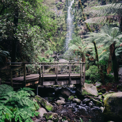 <strong>Erskine Falls</strong>