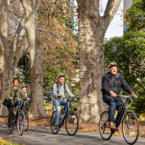 <strong>Dandenong Creek Trail</strong>