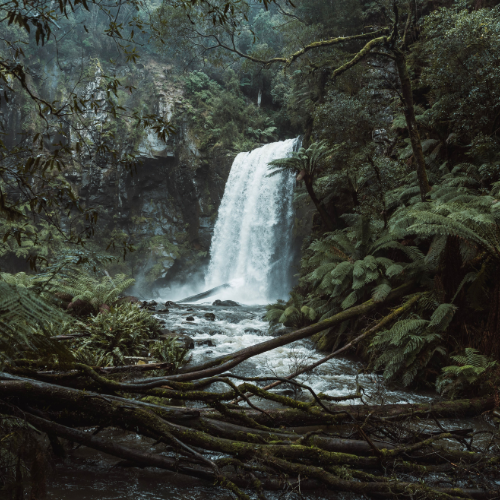 <strong>Hopetoun Falls</strong>