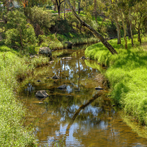 <strong>Merri Creek Trail</strong>