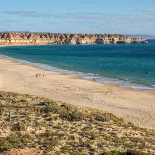 <strong>Maslin Beach</strong>