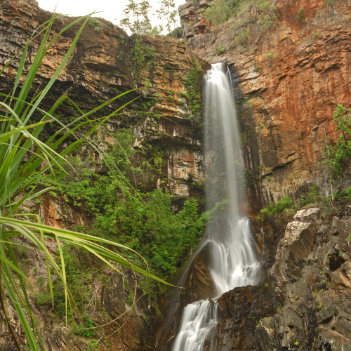 <strong>Tjaynera Falls</strong> (Sandy Creek Falls)