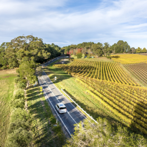 <strong>Adelaide Hills</strong>