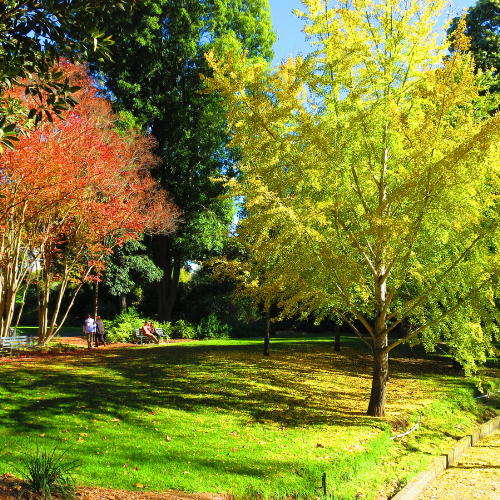 <strong>Botanic Park</strong>