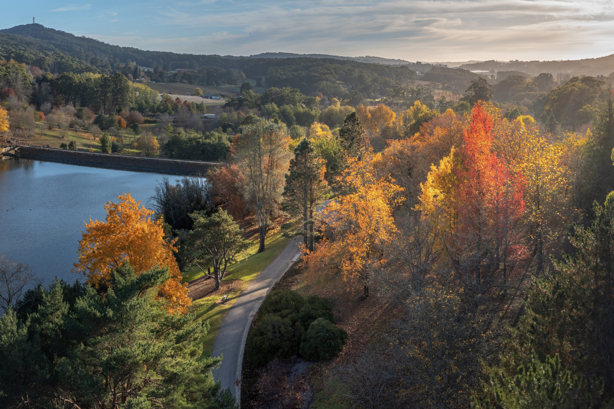 Discover the 7 Best Picnic Spots in Adelaide this Weekend. Mount Lofty Botanic Garden. Photographed by Heidi Lewis. Image via South Australian Tourism Commission.