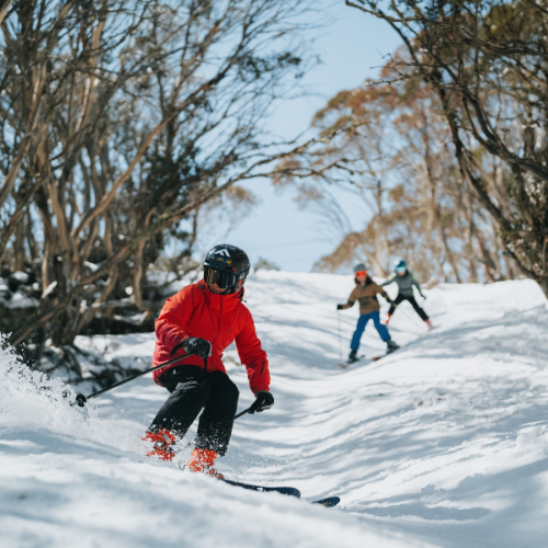 <strong>Falls Creek, Alpine National Park, Victoria</strong>