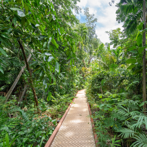 <strong>George Brown Darwin Botanic Gardens</strong>