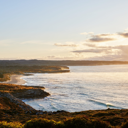 <strong>Southern Ocean Drive</strong>