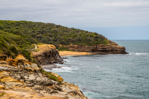 Maitland Bay Track, Bouddi Coastal Walk, New South Wales. Photographed by Nikki To. Image via Destination NSW.