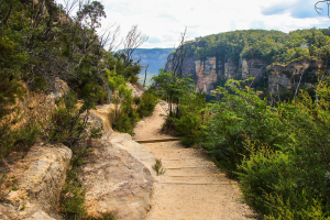 Prince Henry Cliff Walk, New South Wales. Photographed by Alexandre.ROSA. Image via Shutterstock.