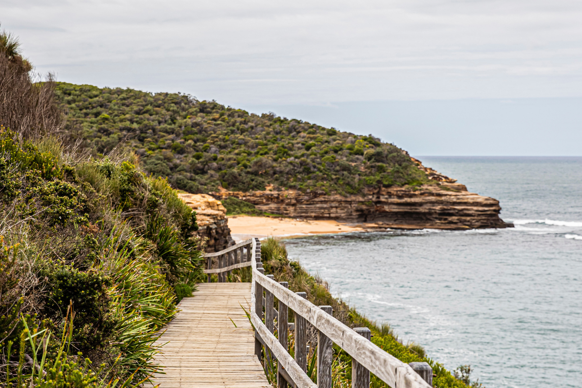 The 8 Most Spectacular Scenic Hikes in New South Wales. Maitland Bay Track, Bouddi Coastal Walk, New South Wales. Photographed by Nikki To. Image via Destination NSW.