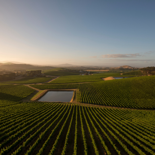 <strong>Yarra Valley</strong>