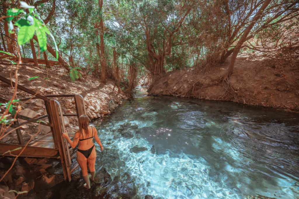 Katherine Hot Springs. Photography by Joshua Griffen Katherine Hot Springs via Tourism NT