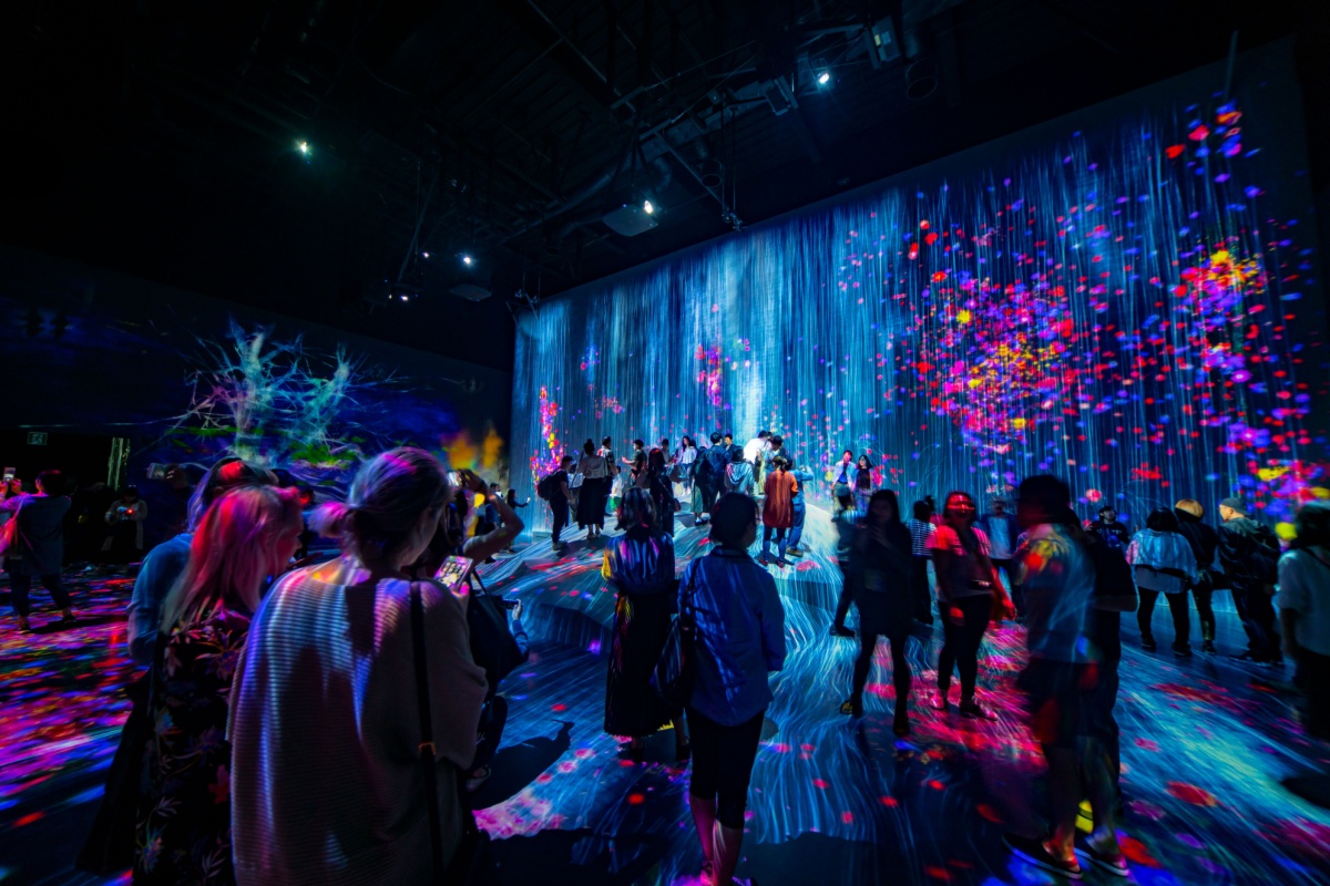Art exhibition. Photography by Aberu.Go via Shutterstock