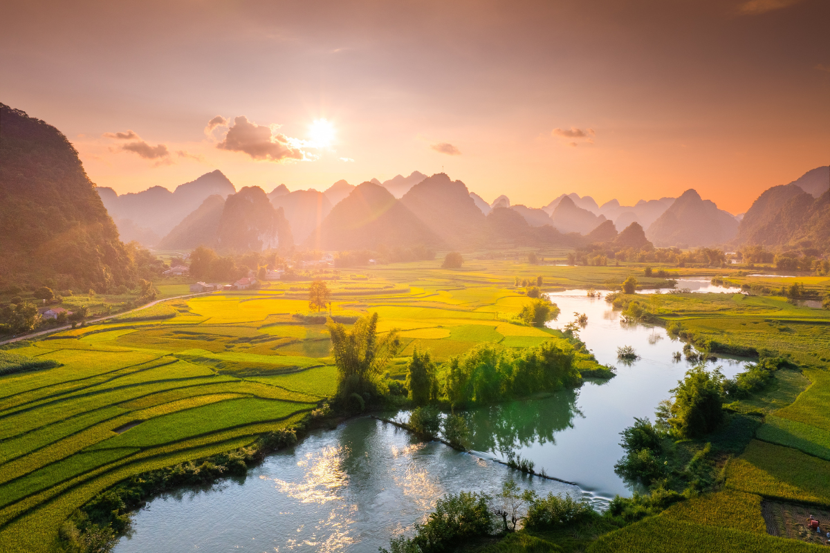 Rice fields in Vietnam. Photography by CravenA via Shutterstock
