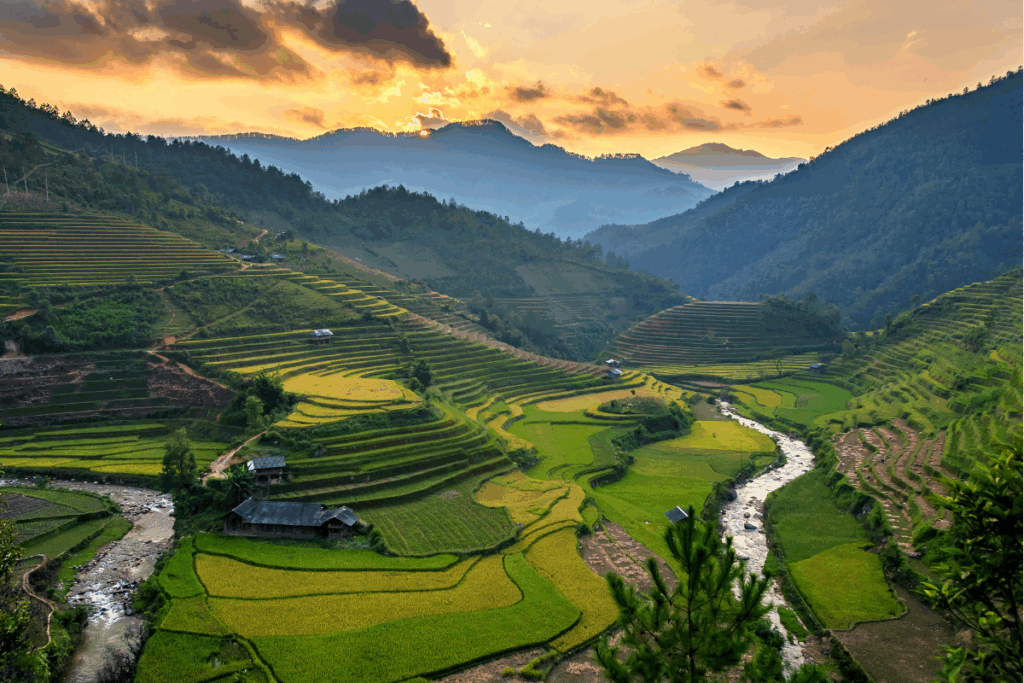 Sappa Rice Fields. Photography by CW Pix via Shutterstock